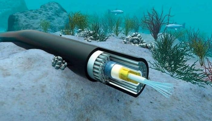 Investments drive growth in subsea cable sector