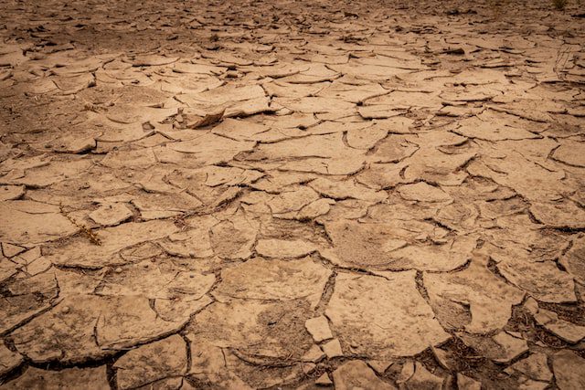 Record drought hits Argentina’s economy